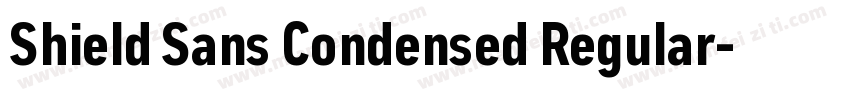 Shield Sans Condensed Regular字体转换